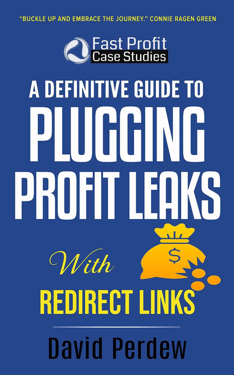 PluggingProfitLeaks_kindle_1782x1250