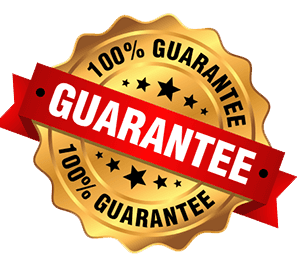 Guarantee Badge
